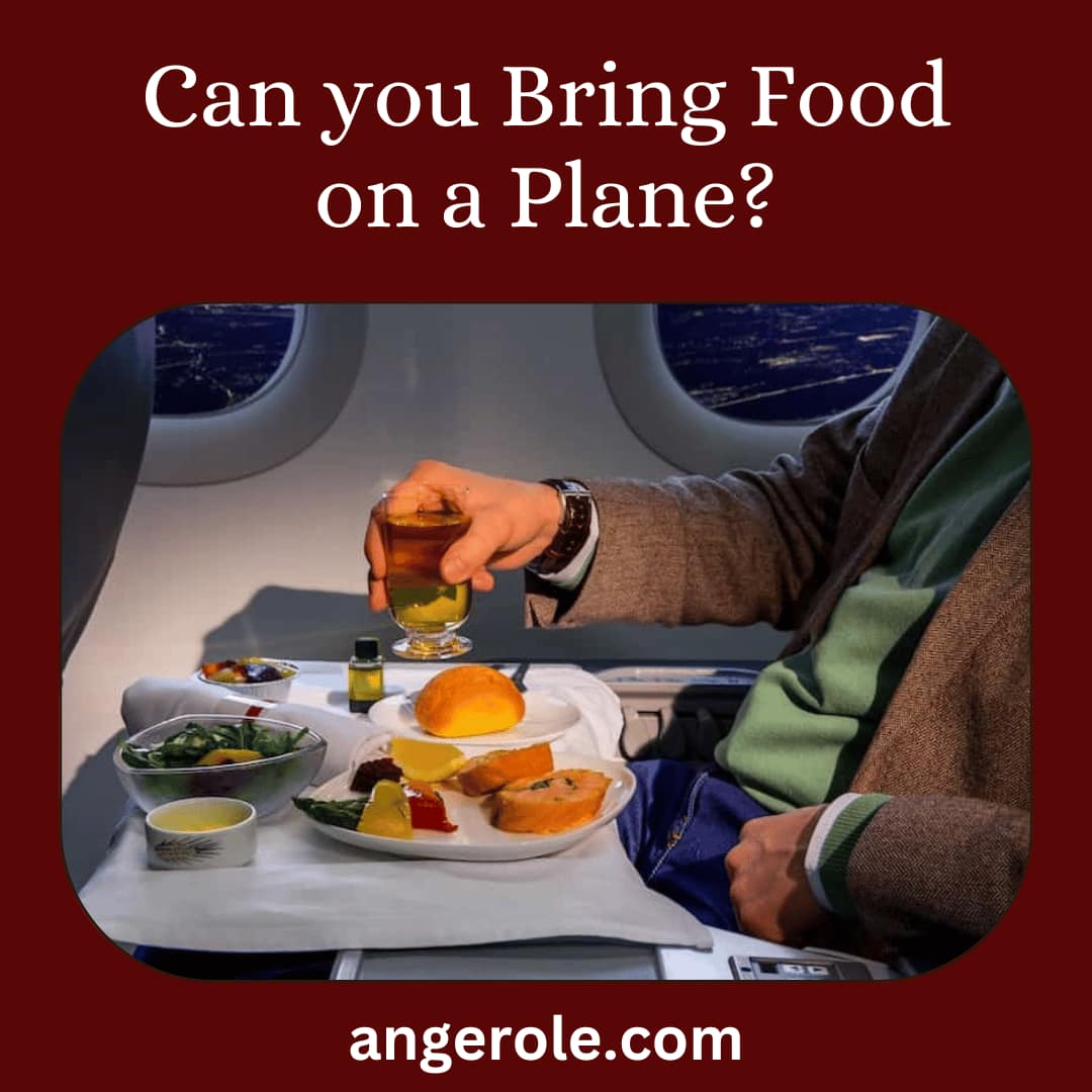 Can you Bring Food on a Plane