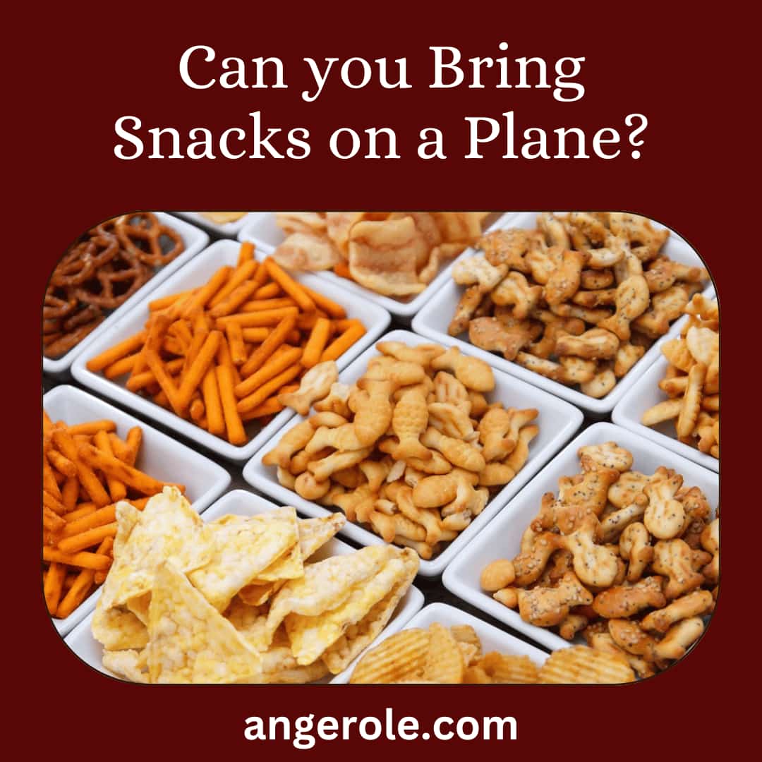 Can you Bring Snacks on a Plane