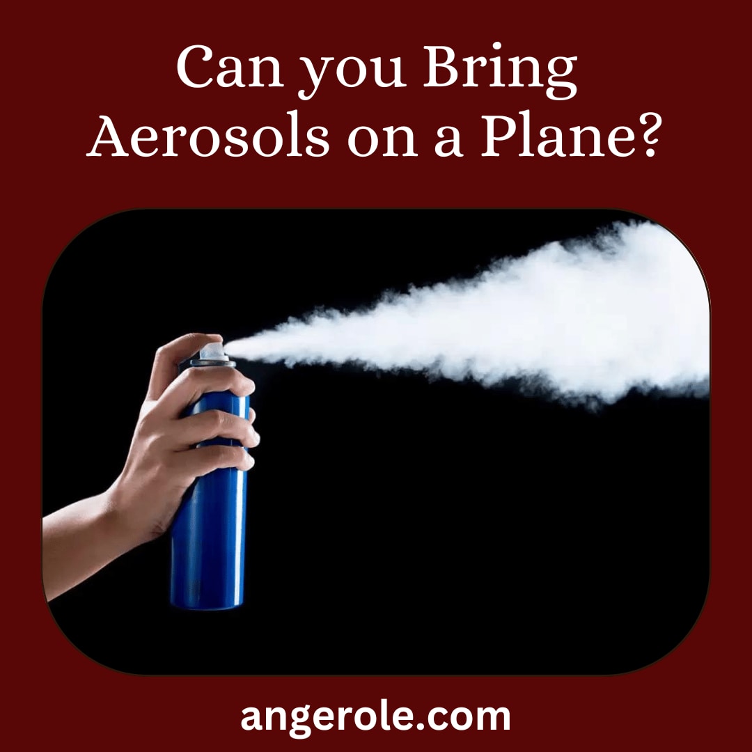 Can you Bring Aerosols on a Plane?